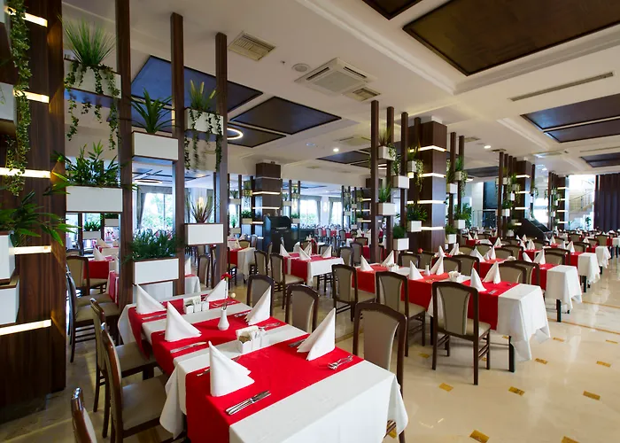 Resort Washington & 5*